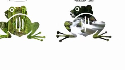 Culito de rana sana sana