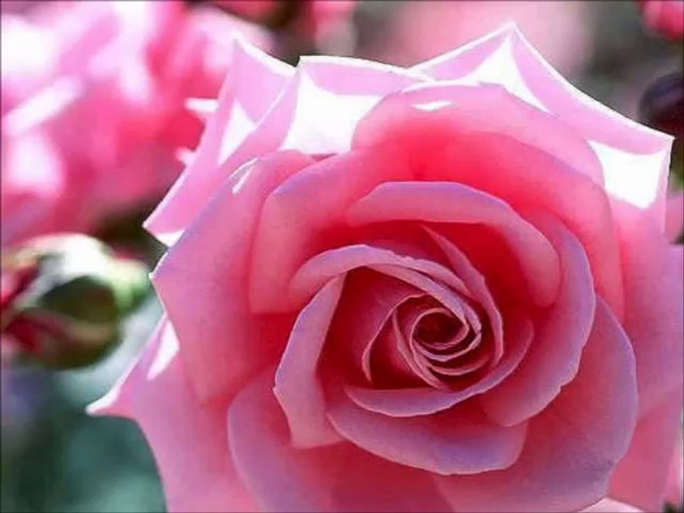 Asiyim Asabiyim Şiir OkuyanTülay Lal //Bahri Gökçe//