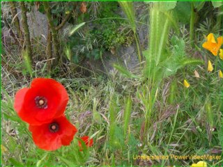 Orlu dans l'Ariège avec musique (1)Suzanne-02-09-20-06_wmv