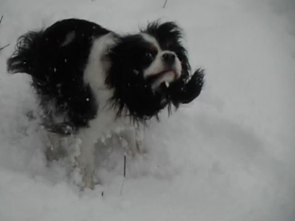manéo et la neige !