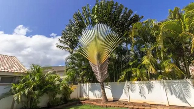 91-1508 Keonekapu St, Ewa Beach, HI