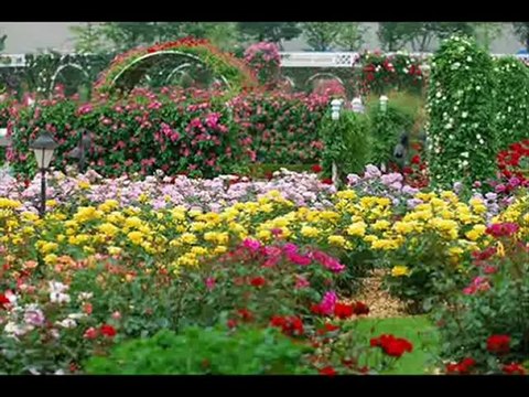 Ah Yalan Dünya SELDA BAĞCAN