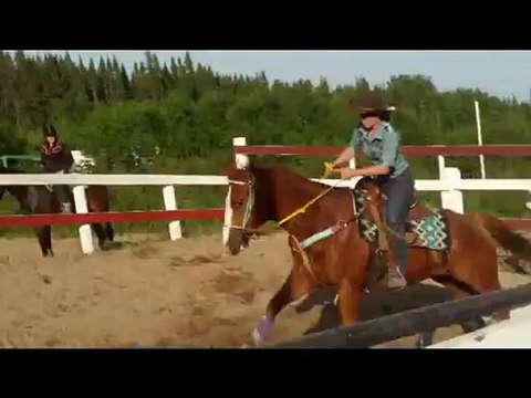 Saison compétion 2012