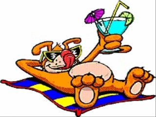 Nos amis les animaux