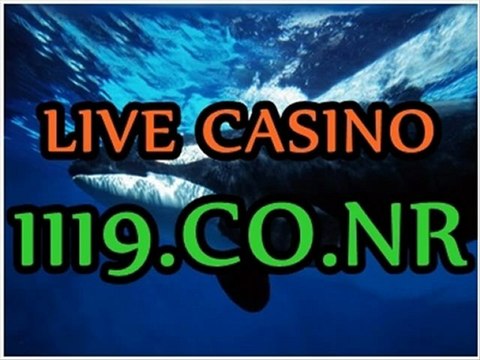 로얄카지노 ▤￠‰1119.CO.NR‰◈▤마이크로게이밍 플레이텍 에이플러스카지노 안철수연구소