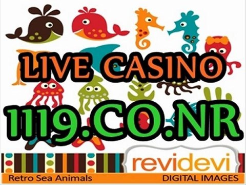 라이브바카라 1119.CO.NR 마이크로게이밍 플레이텍 에이플러스카지노