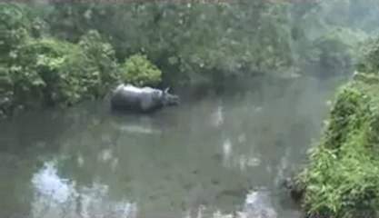 Elephant Safari at North Bengal