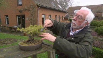 Laïcs engagés- Michel Linder