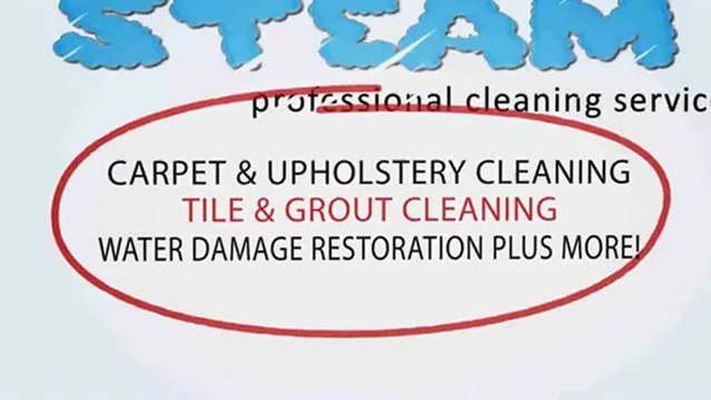 Area Rug Cleaning Company - Windy City Steam - Woodridge, IL