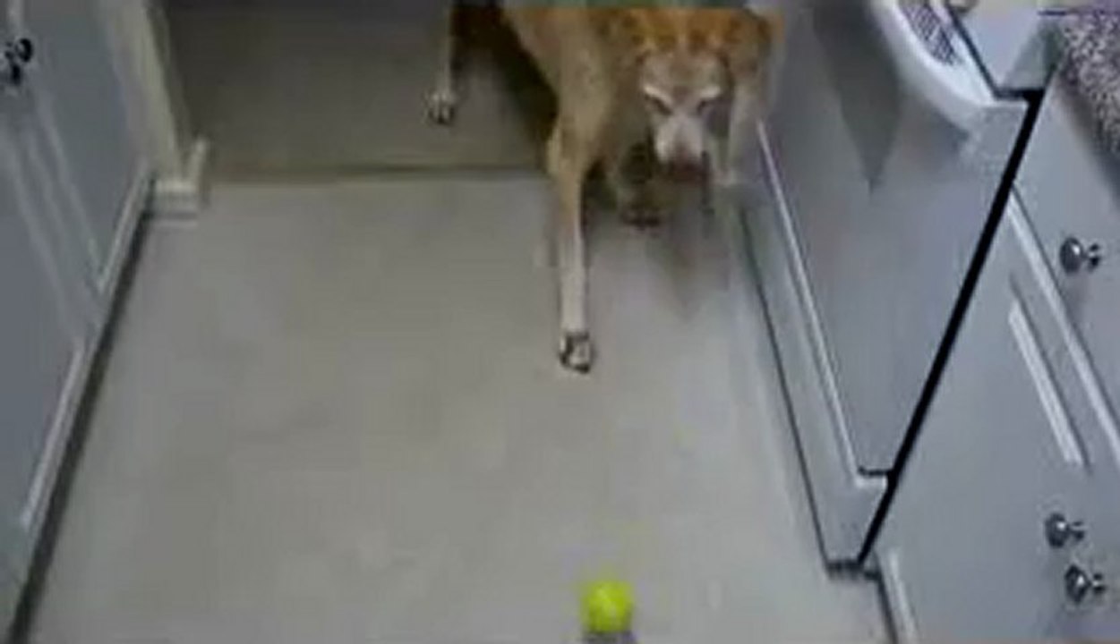 합법카지노☢❂▣ B­A­C­6­6­6.c­o­m ◁❂☢정통카‍지노