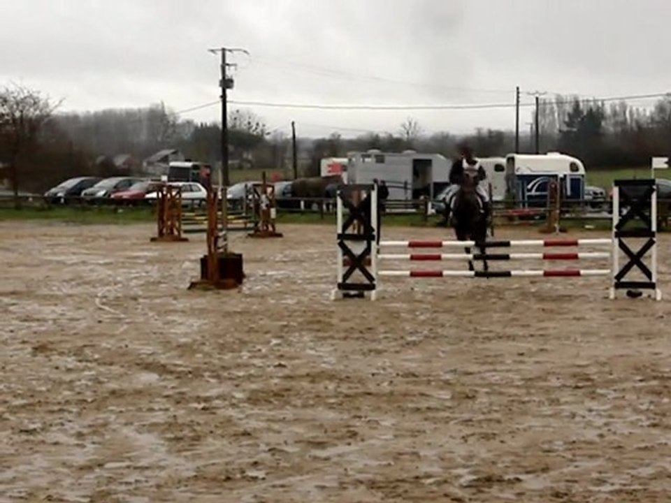 0belle poney1C le 10 février 2013