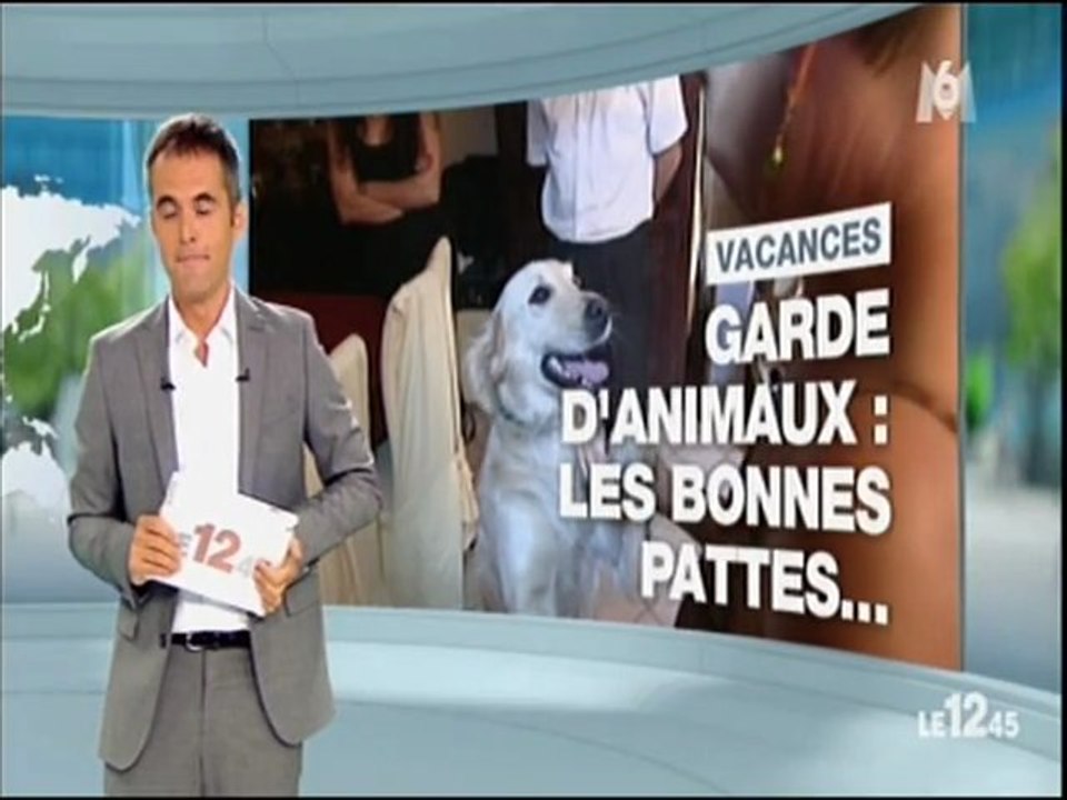 M6_garde chiens, garde animaux_l'échange de garde d'animaux dans le JT du 15/8/12