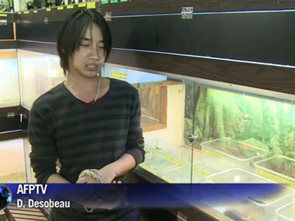 Hong Kong: le serpent, nouvel animal de compagnie