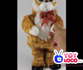 Battery Operated Dancing Cat With Music