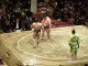 37ième Tournoi de Sumo à Tokyo - Combat Comique de Sumo