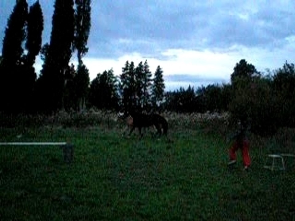 fox et doun longue