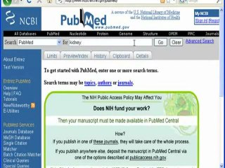 Uso de Zotero en FireFox