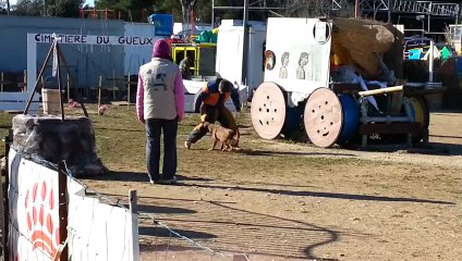 concours de velaux mondioring
