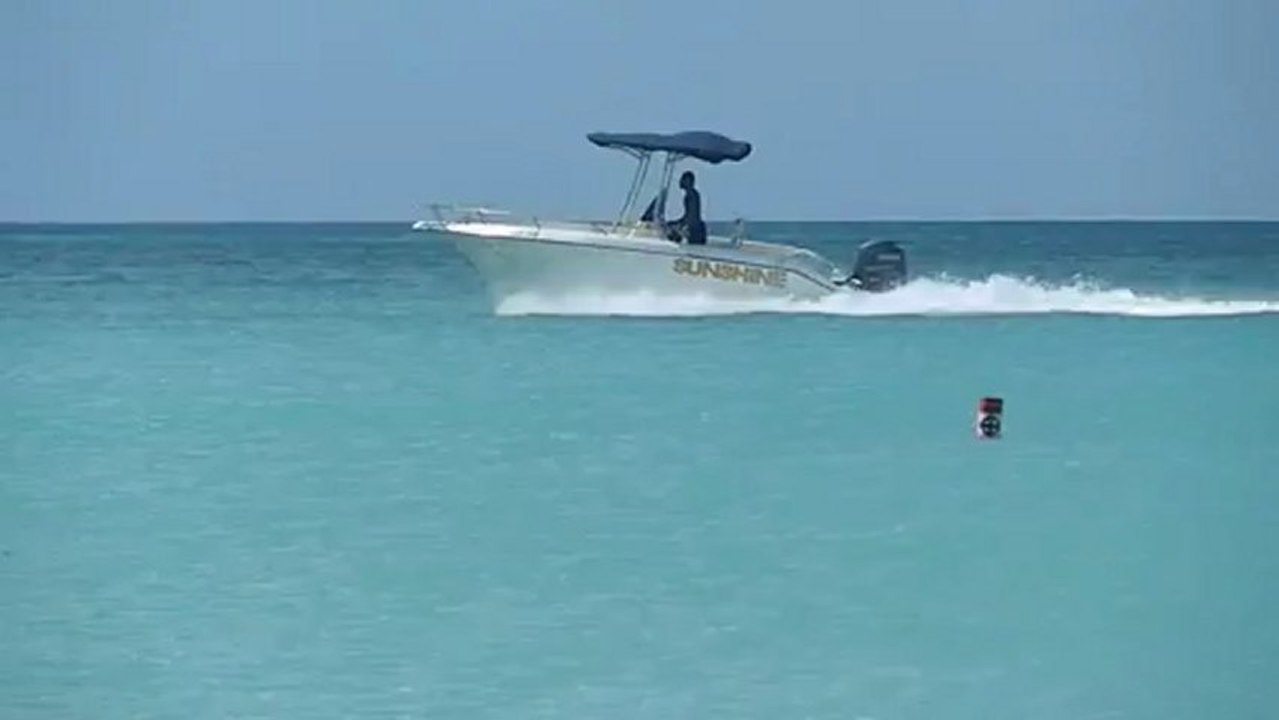 Swiming in Oceon