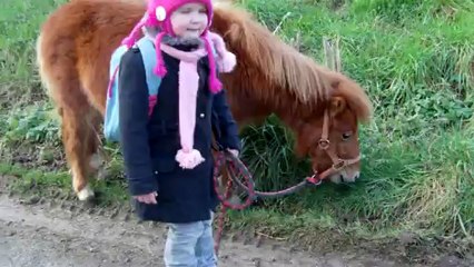 Caramel le shetland d'Emmy