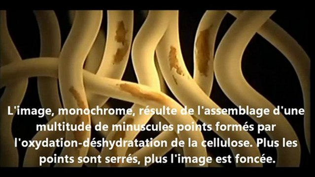 FIN DES TEMPS & CALENDRIER MAYA Les signes-SCIENCE 6-16 (Le Linceul de Turin 4)