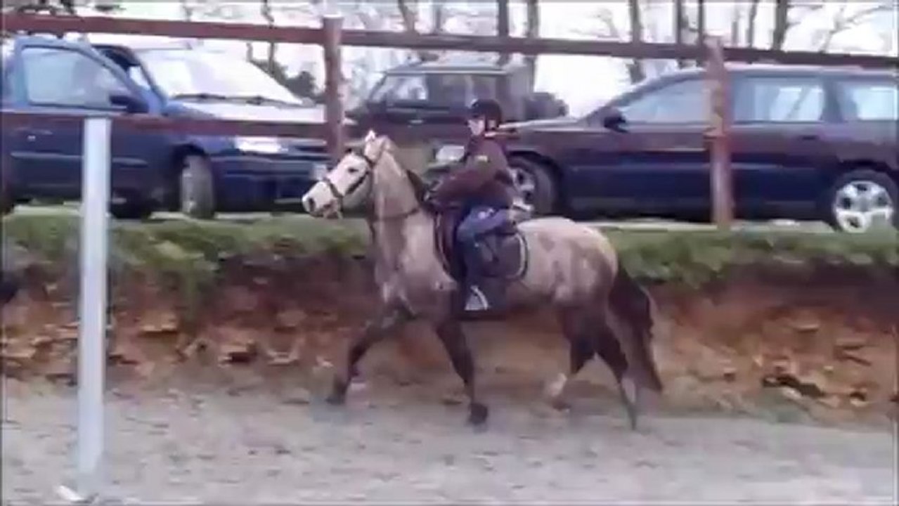 supodudiabl tartifume, a vendre