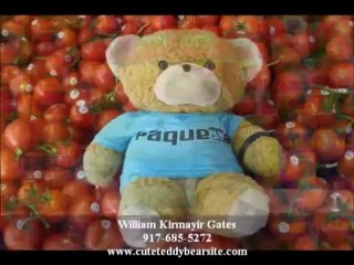 Teddy Bear Book for Kids | Stories for Children