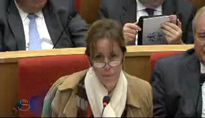 Sénat -  Table ronde coopération et développement (Part 2)