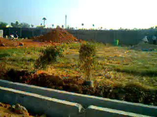 Plots in Vijayawada