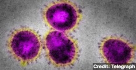 Second Case Identified of Deadly 'Sars-Like' Virus
