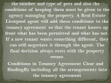 Pets in Rental Properties – Pros and Cons