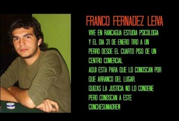 Salvajes lanzan perro desde tercer piso de edificio en Rancagua