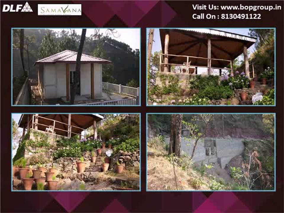DLF samavana Plots