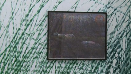 Paul Pouvreau - Matières Premières - CRAC LR - février 2013