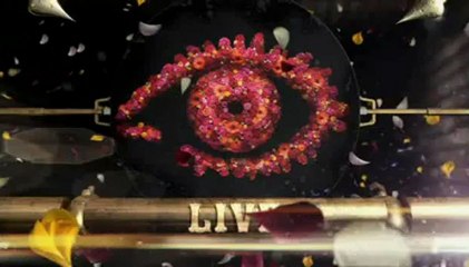 Live Feed Night 12 P6