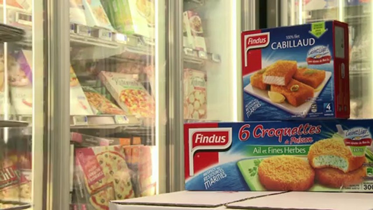 Pferdefleisch-Skandal in EU-Staaten