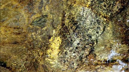 Prière aux silencieux