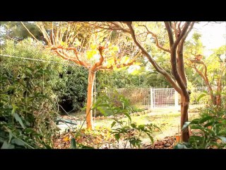 Bel appartement T3 Sanary-Sur-Mer 83110 Var En viager occupe - Jardin privatif - Grande terrasse