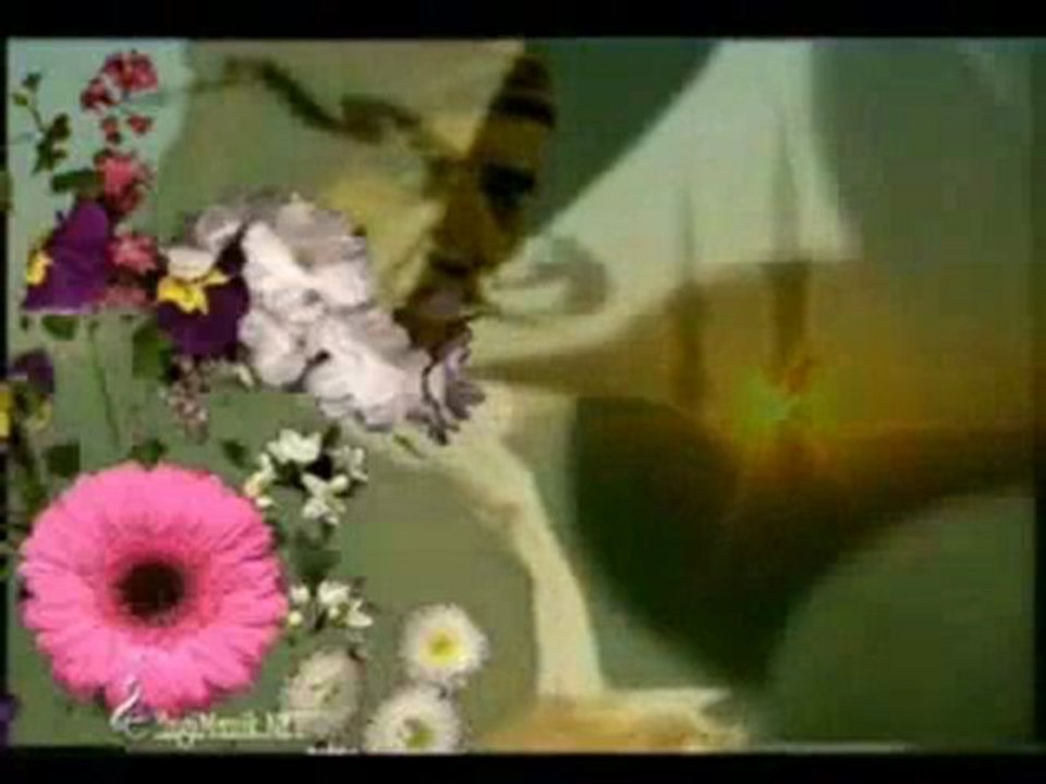 Ömer karaoğlu Şehit Tahtında Rabbe Gülümser