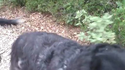 Gaspard et Glamour SPA Nîmes