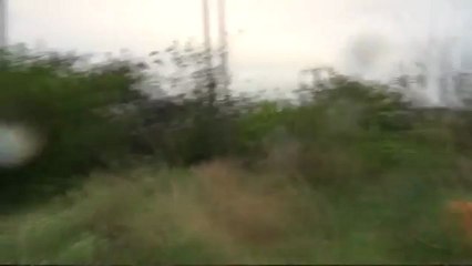 Araignées dans le ciel