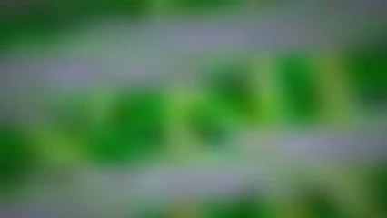 Chaîne AHBV59640 - Vidéos Dailymotion 📺