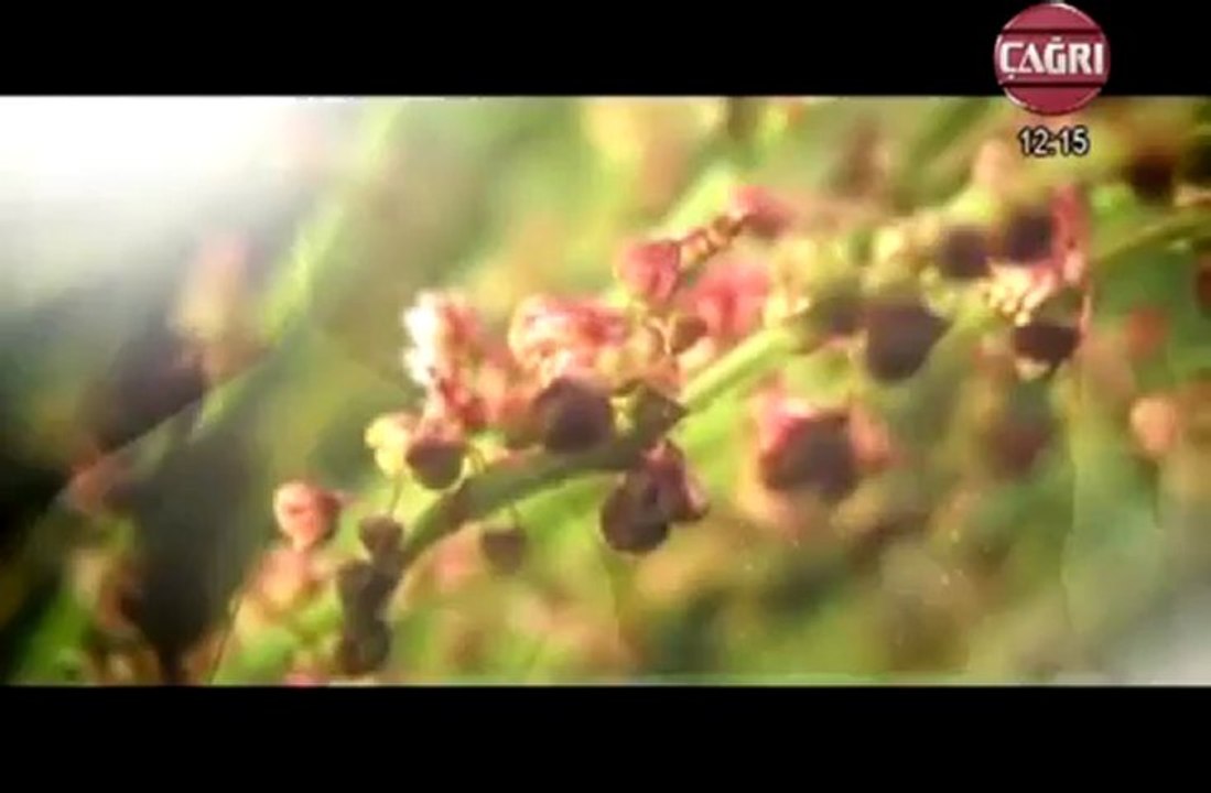 Mustafa Caymaz O' NA YANDIM