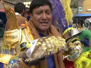 Animales que sufren el carnaval