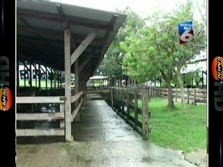 La SAG y diferentes productores sostuvieron una reunion