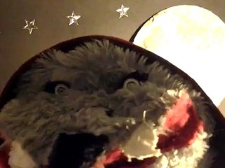 Clovis le Vampire - C'est la pleine lune!