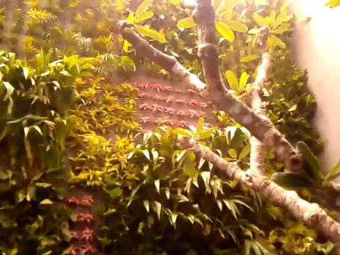 Kontraktor kolam renang ADHI BANYU PRATAMA Pool 0819-0609-3534