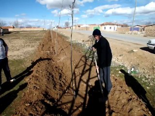 PUSATLI YÖRÜK ABİMİZ AĞAÇ DİKERKEN  BOŞ DURMADI