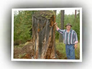 Harold's Photo & Music Slideshow