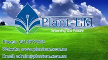 Townsville Lawn Specialists - Automatic Irrigation System